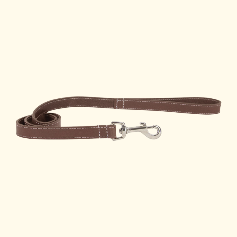 Leashes