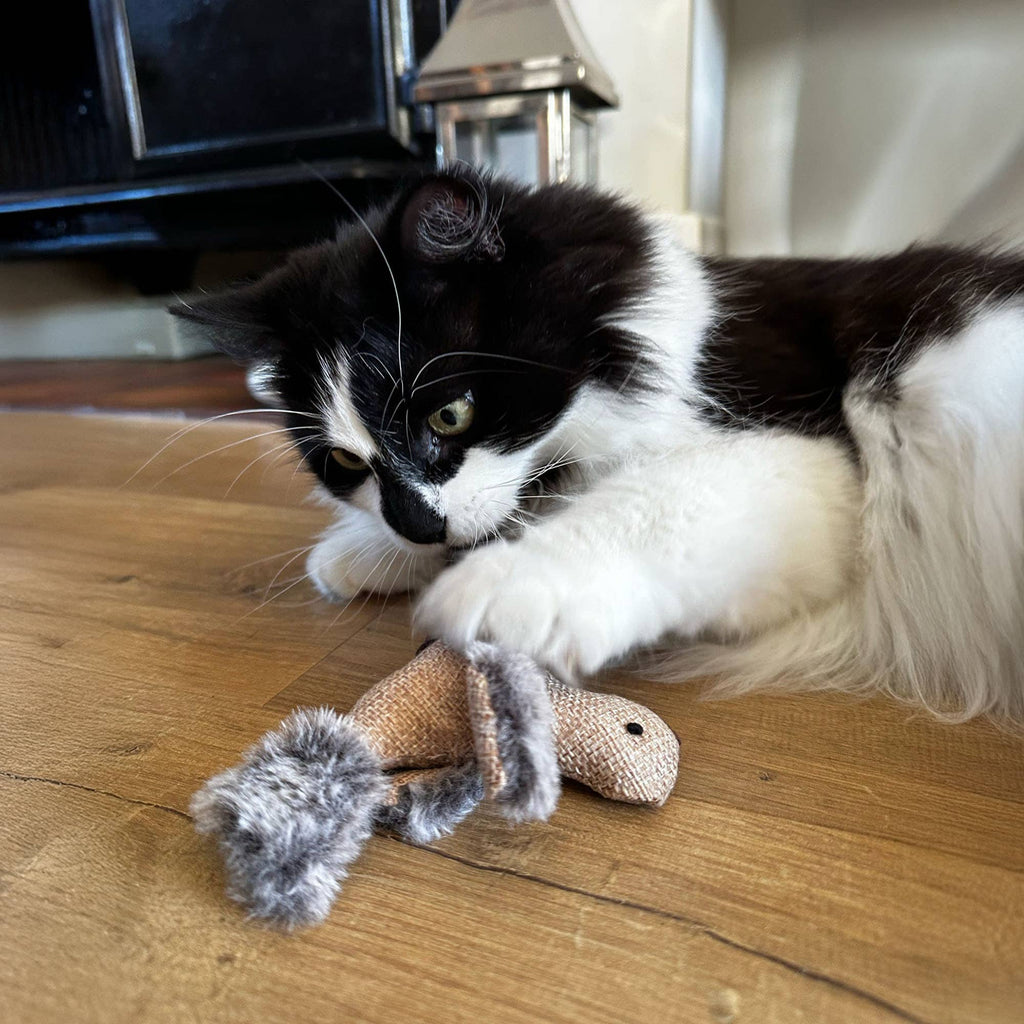 Cheeping Bird cat Toy