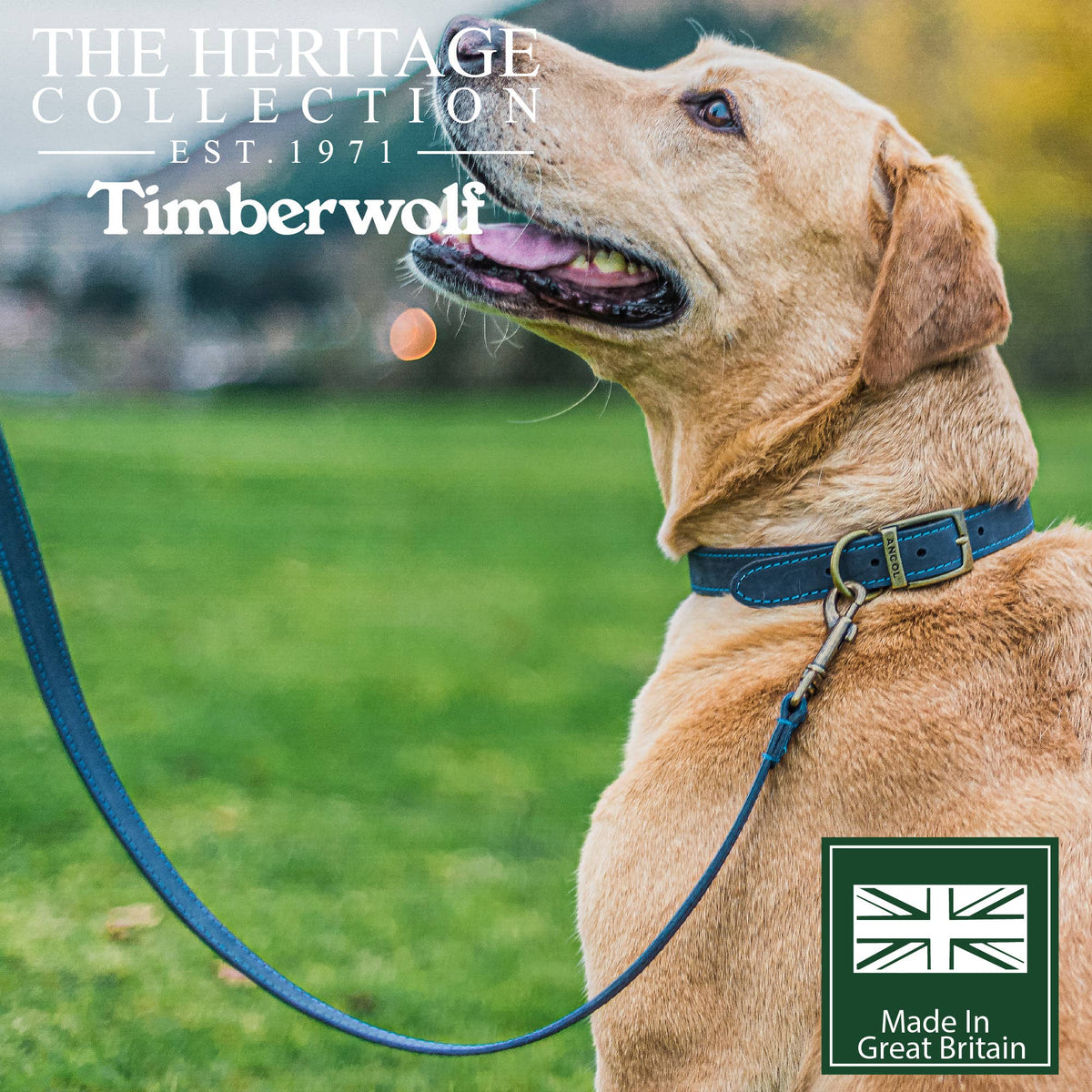 Timberwolf Leather Lead - various colours - 1m x 19mm