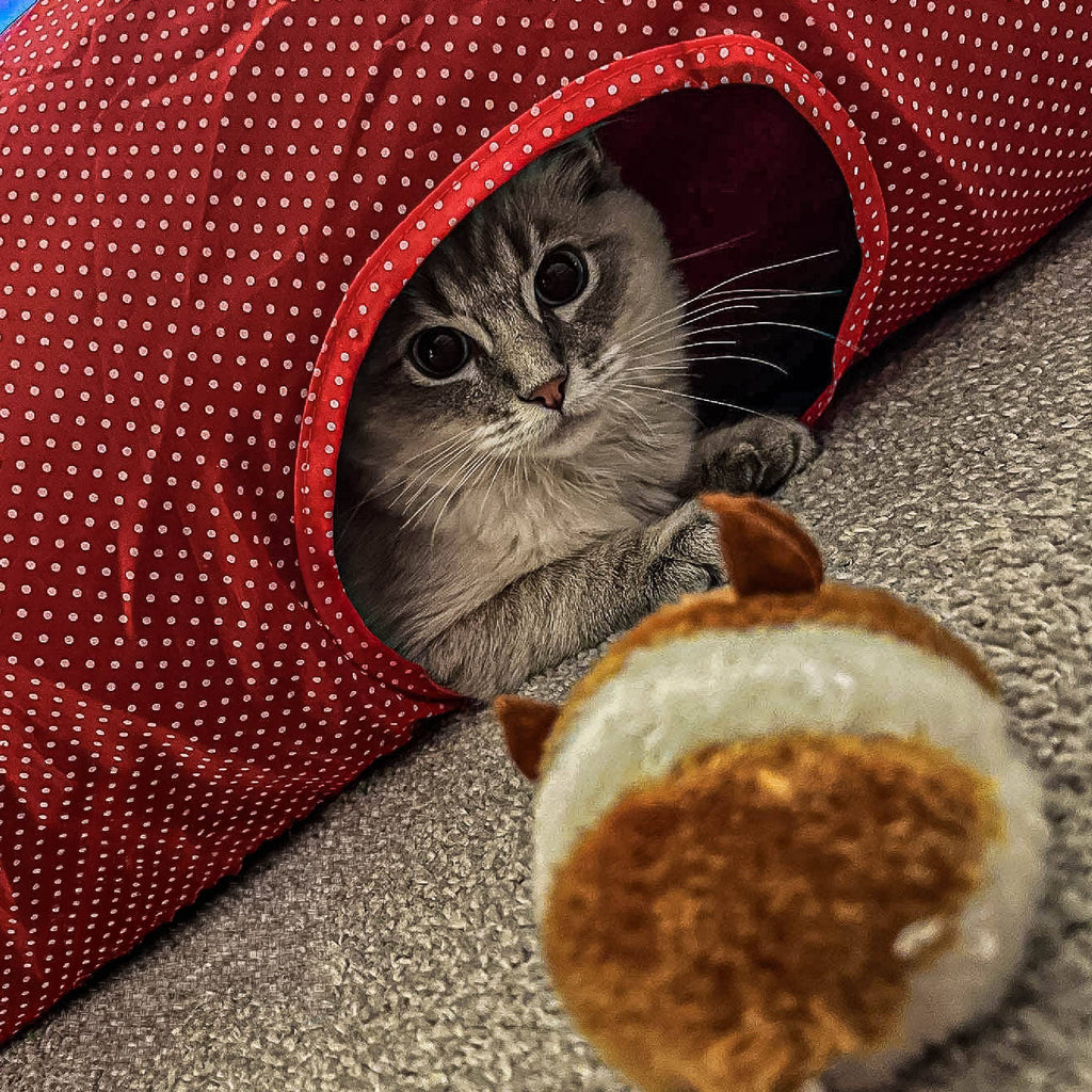 Jittery Mouse Cat Toy