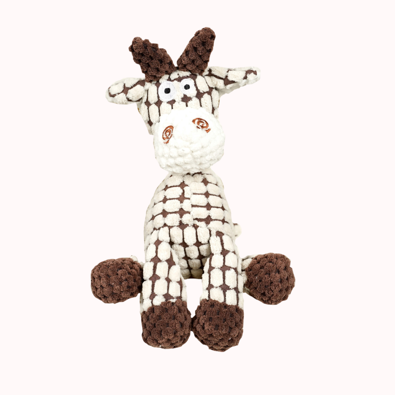Durable Plush Rope Squeaky Interactive Dog & Cat Toy