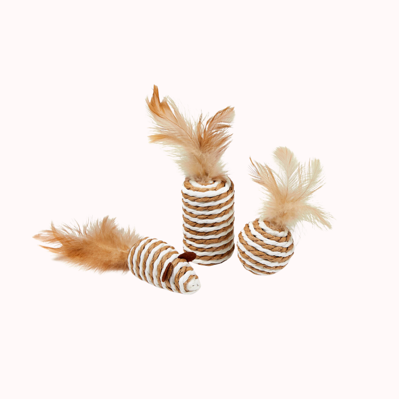 Chew and Chase Catnip Play Set | Cat Treat | Gift for Pets