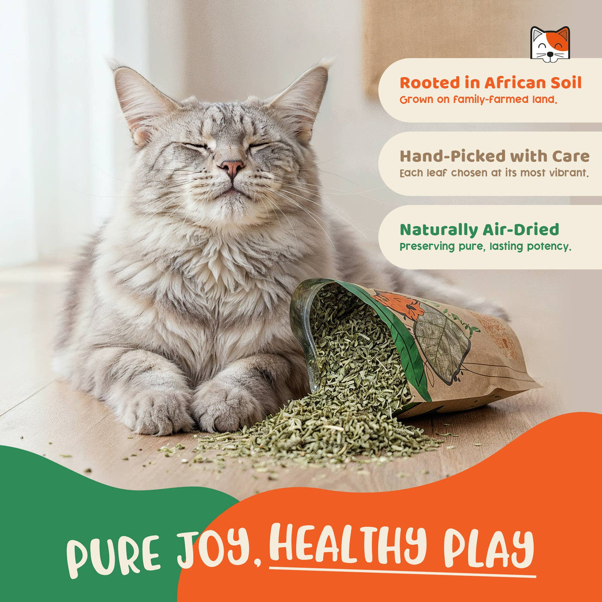Organic Catnip | Cat Treat | Cat Nip | Gift for Pets