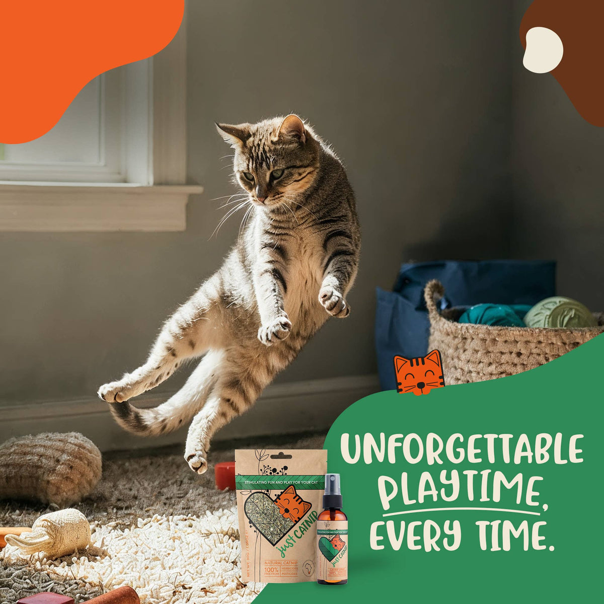 Organic Catnip | Cat Treat | Cat Nip | Gift for Pets