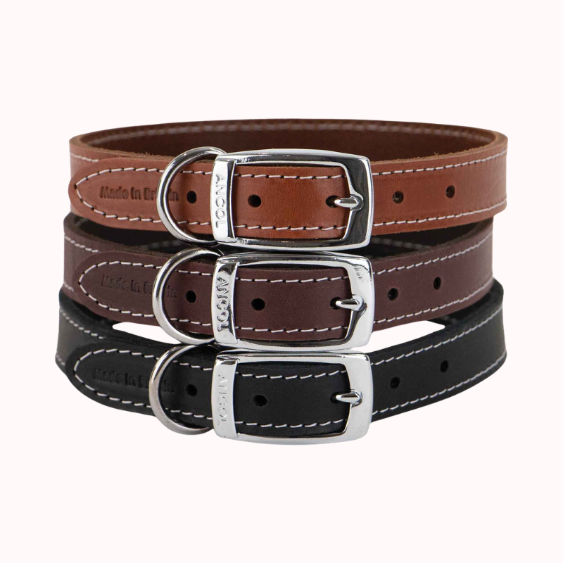 Heritage Collection Leather Collar Oxblood