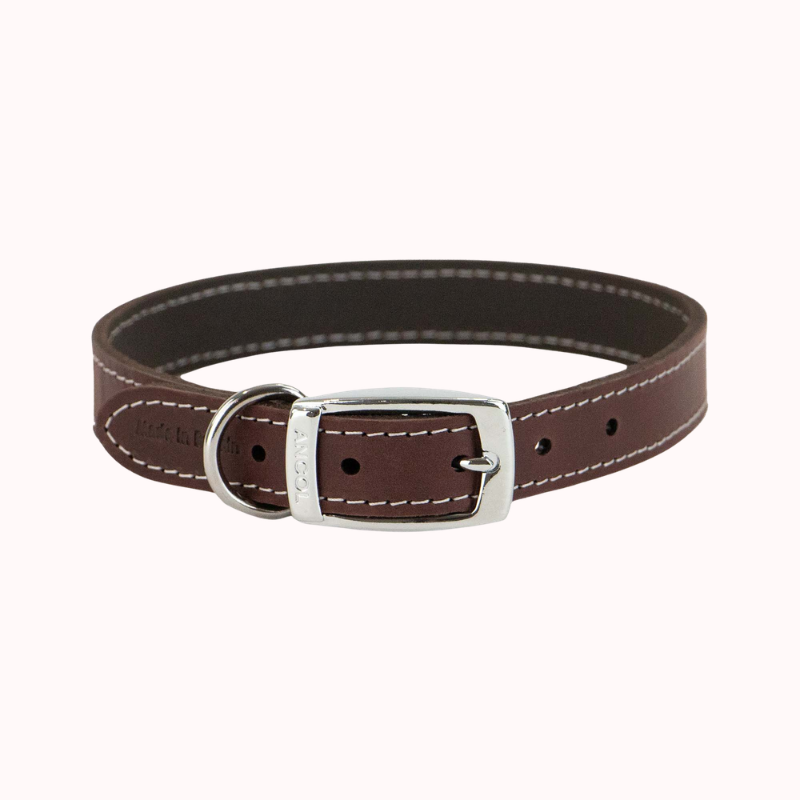 Heritage Collection Leather Collar Oxblood