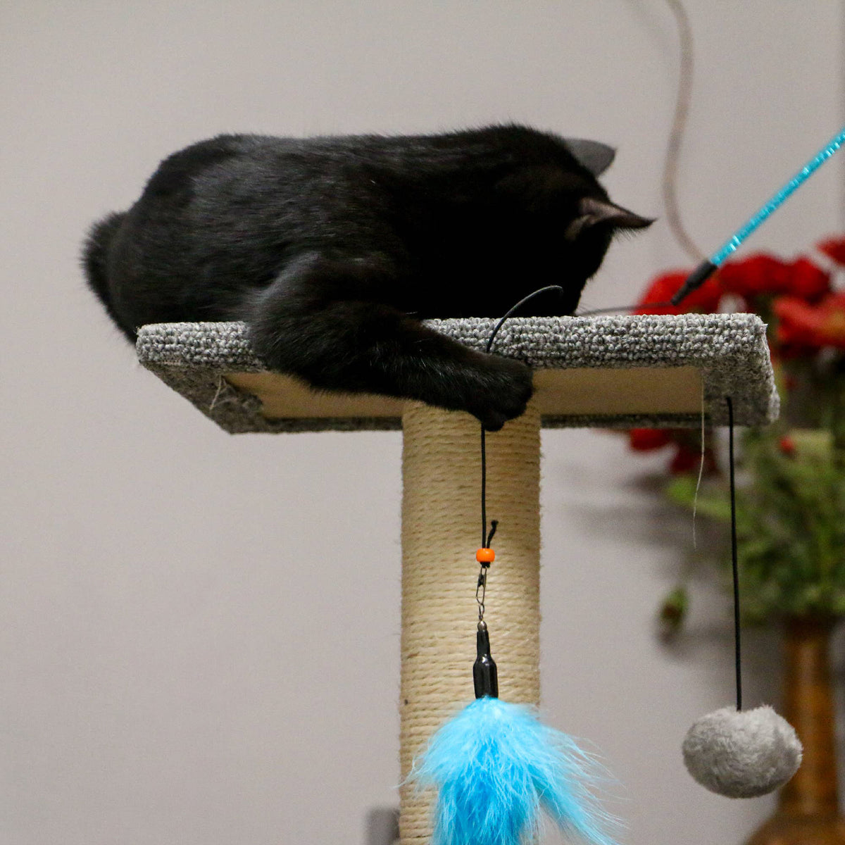 Ancol Feather Bell Cat Dangler Toy