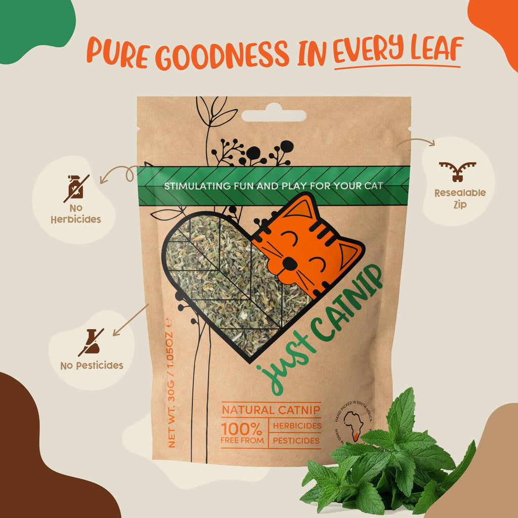 Organic Catnip | Cat Treat | Cat Nip | Gift for Pets