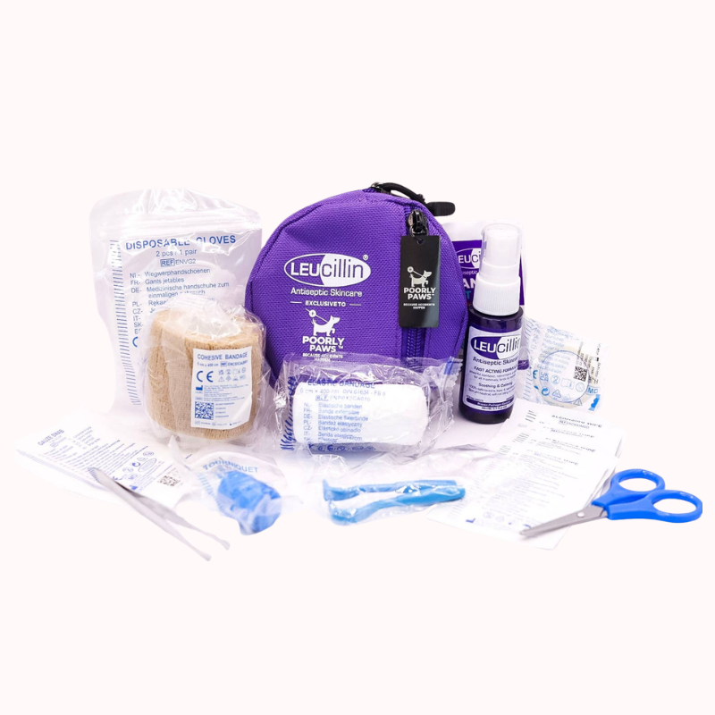 Leucillin First Aid Kit