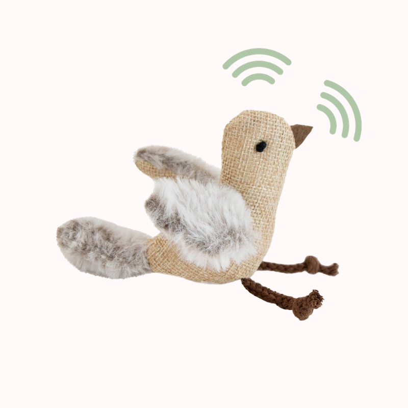 Cheeping Bird cat Toy
