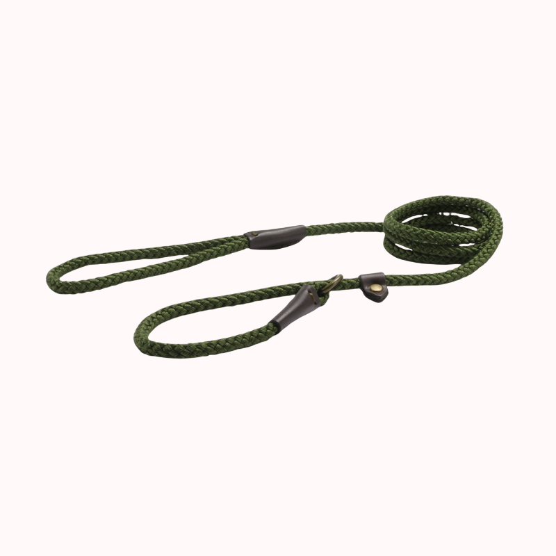 The Heritage Collection Rope Slip Lead