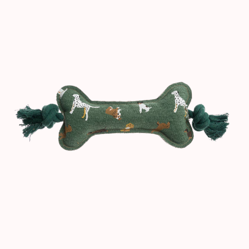 Fetch Dog Toy