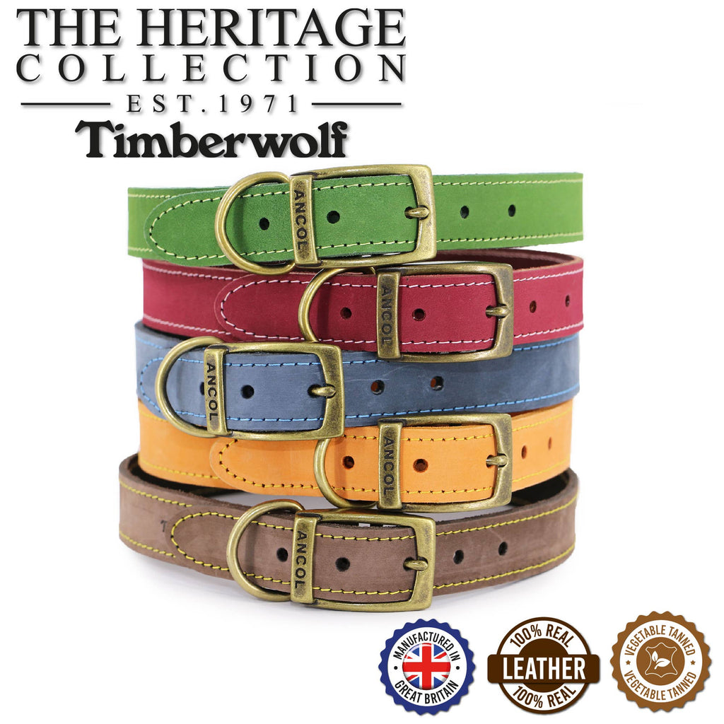 Timberwolf Leather Collar Blue