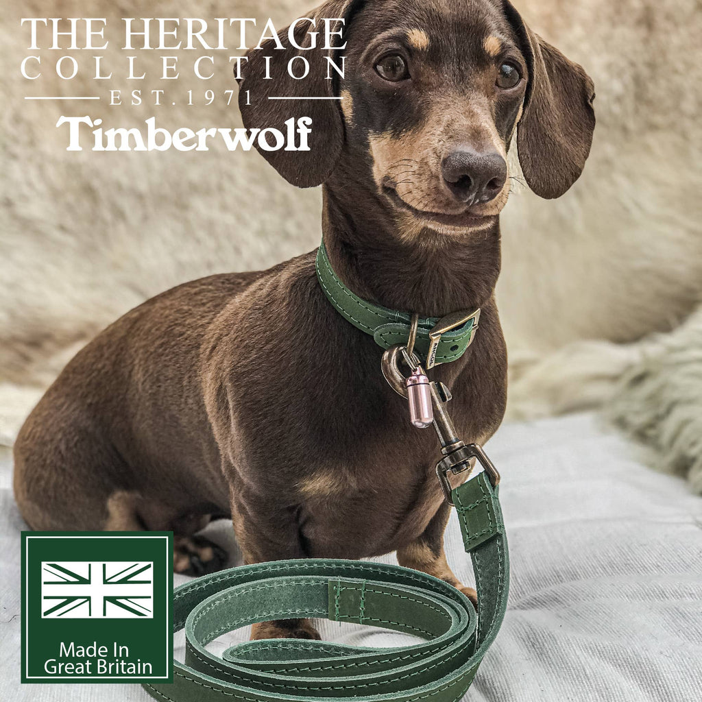 Timberwolf Leather Lead - various colours - 1m x 19mm